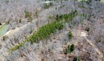 Hopewell Hawks Point Road lot # 15, Beattyville, KY 41311
