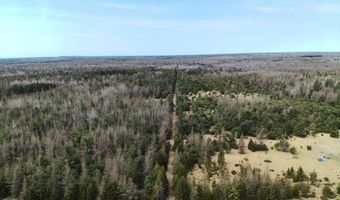 5280 Cathro Rd, Alpena, MI 49707