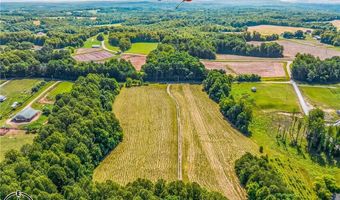 157 Buttercup Ln, Ararat, NC 27007