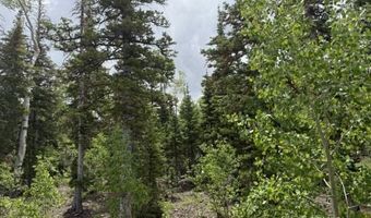429 N Aoki Michi Dr, Brian Head, UT 84719
