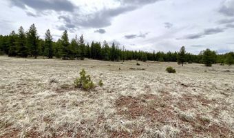 99 Big Notch Forest Trl, Bluewater, NM 87005