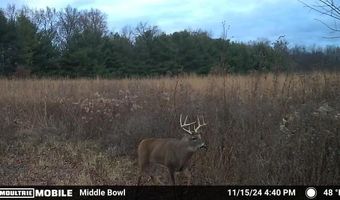 11775 25 1/2 Mile Rd, Albion, MI 49224