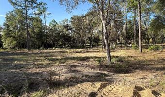 11491 NE 109TH Pl, Archer, FL 32618