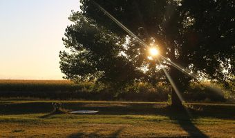 18691 County Road 80 1/2, Ault, CO 80610