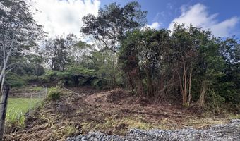 75-1306 KEOPU MAUKA Dr, Holualoa, HI 96725
