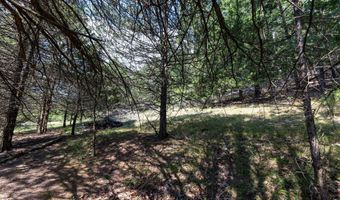 ALUM SPRINGS ROAD, Basye, VA 22810