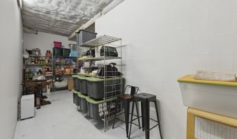 340 Back 9 Dr, Baneberry, TN 37890