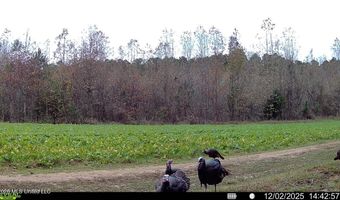 425 Rose Hill Rd, Bentonia, MS 39040