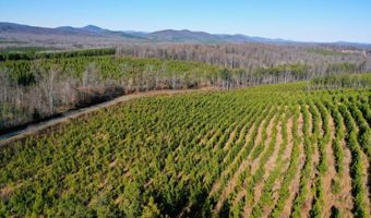 0 Windy Ridge Way, Amherst, VA 24521