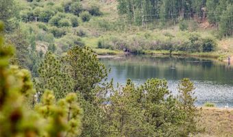 427 Wise Rd, Bailey, CO 80421