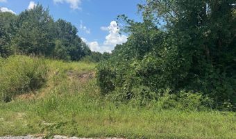 0 HIGHWAY 202, Anniston, AL 36201