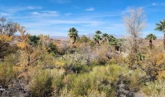 4855 Gold Butte Rd, Bunkerville, NV 89007