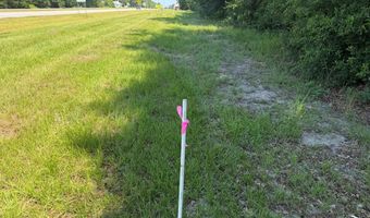 7821 Tallahassee Hwy 8.98+/- Acres, Attapulgus, GA 39815