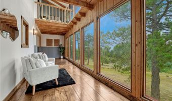 19 E Pine Dr, Bailey, CO 80421