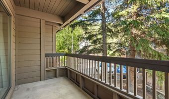 610 S West End St J202, Aspen, CO 81611