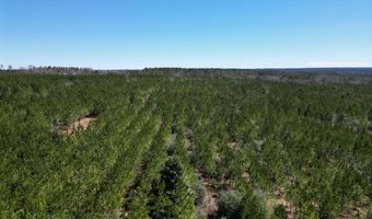 02 Robinsonville Rd, Atmore, AL 36502