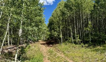 TBD CR 501, Bayfield, CO 81122