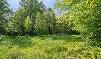 115 Stone Hill Rd, Bolton, VT 05477