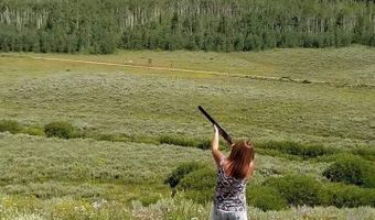 807 MERNA N BEAVER Rd, Daniel, WY 83115