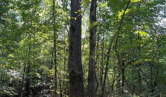 0 Nick Creek Rd, Bernice, LA 71222