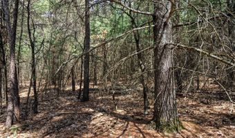 S Badger Lane lot 39, Arkdale, WI 54613