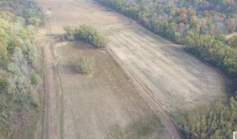 Holloway Landing Road, Barlow, KY 42024