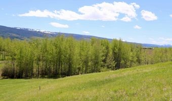 350 W TETON HIDEAWAY Dr, Alta, WY 83414