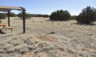 12 County Rd N8543, Concho, AZ 85924