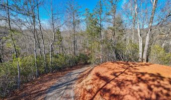 430 Live Oak Ter, Andrews, NC 28901