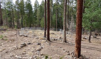 10 County Road 2074, Alpine, AZ 85920