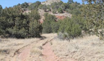 Tbd Mauer Drive, Bent, NM 88314