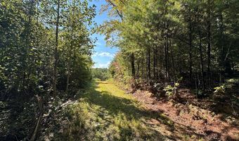 13 44 Ac Chestnut Ridge Rd, Allardt, TN 38504