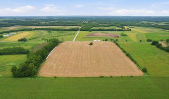 W Farm Rd 94, Ash Grove, MO 65604
