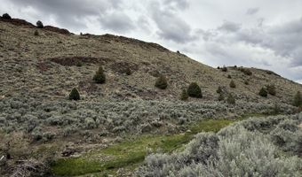 Wall Canyon Reservoir Road, Gerlach, NV 89412