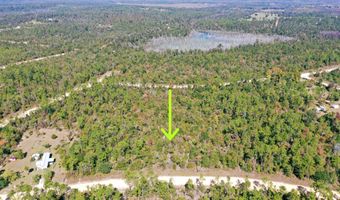 Lot 5 Blk 138 Abraham Street, Alford, FL 32420