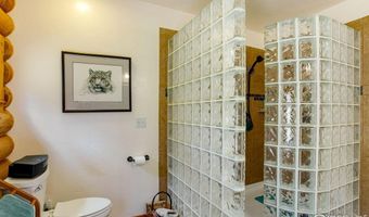 427 Wilderness Ridge Way, Bellvue, CO 80512
