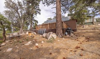 4535 Ironwood Ln, Angelus Oaks, CA 92305