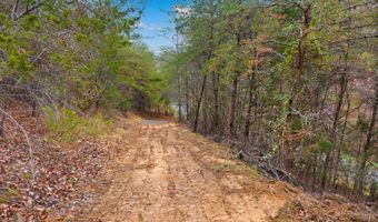 1556 Hollow Springs Rd, Baneberry, TN 37890