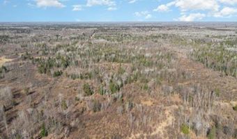 6002 Wildwood, Alger, MI 48610