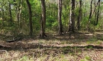 1642 R2 Kersey Valley Rd, Archdale, NC 27265