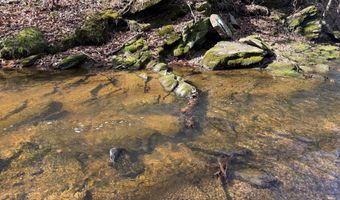 PAYNES POND RD, Arvonia, VA 23004