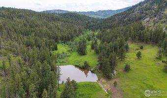 Old Flowers Rd, Bellvue, CO 80512