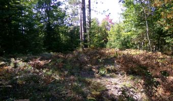 V/L 30AC Lake Winyah Road, Alpena, MI 49707