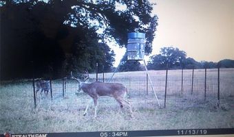 188 Fcr 941, Teague, TX 75860