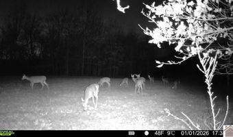 115 County Road 1039, Bardwell, KY 42023