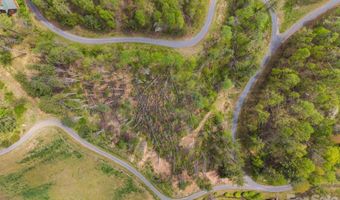 White Pine Lane 19, Bakersville, NC 28705