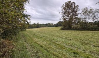 X Miller Gap Road 44 Ac, Ararat, NC 27007