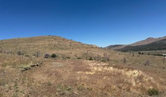 930 Cavelti Rd, Gardnerville, NV 89410