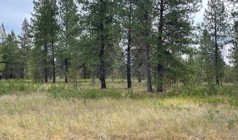 Lot 4 Sheep Springs Rd, Athol, ID 83801