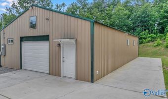 1228 Matt Morrow Rd, Arab, AL 35016